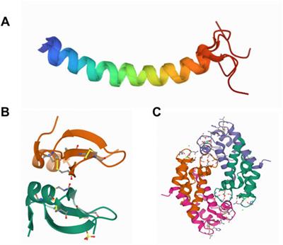 Alternative Therapeutic Interventions: Antimicrobial Peptides and Small Molecules to Treat Microbial Keratitis